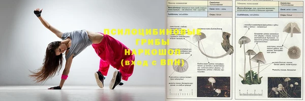 бутират Алзамай