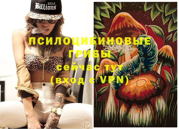 бутират Алзамай