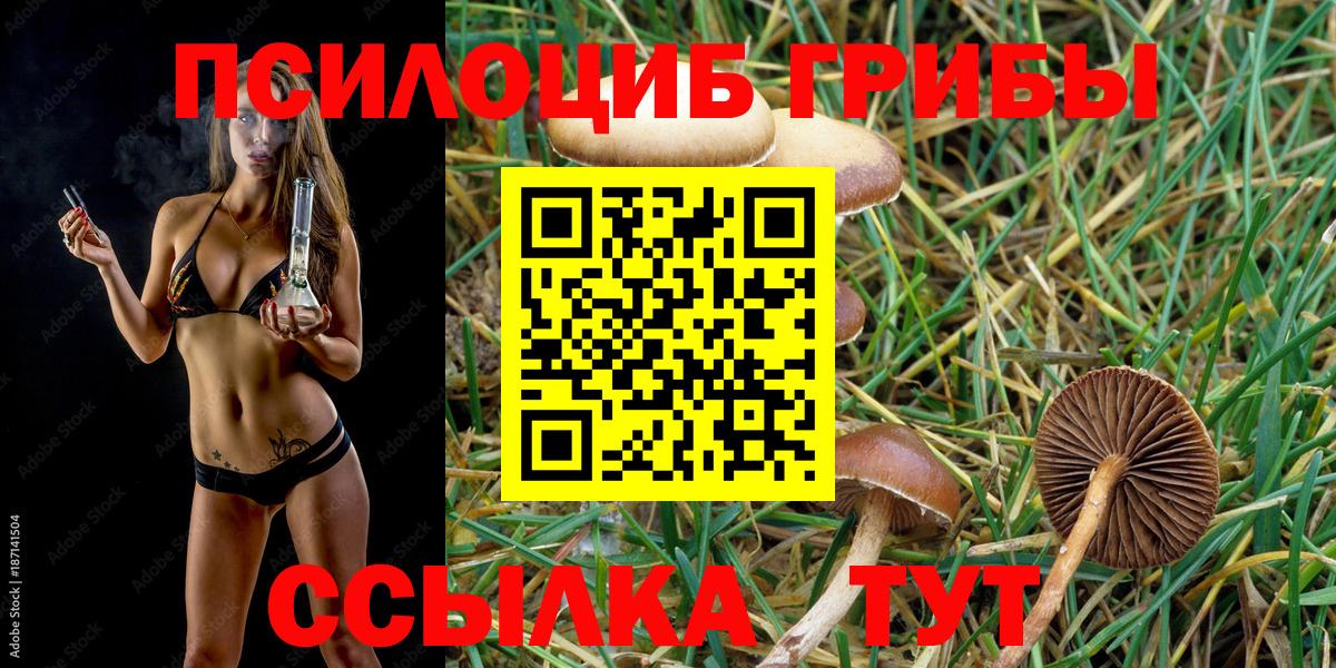 Псилоцибиновые грибы мицелий  Вход с VPN  Мегион 