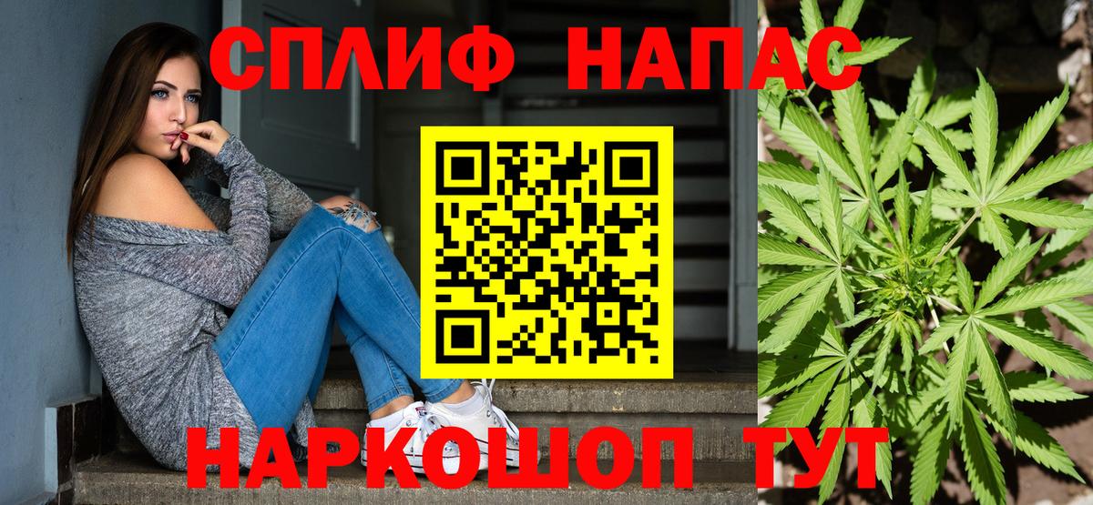Бошки Шишки семена Мегион